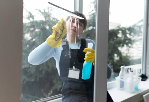 Nettoyage de vitres intérieures et extérieures à la Chapelle-aux-Bois